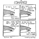 shark64