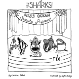 shark78