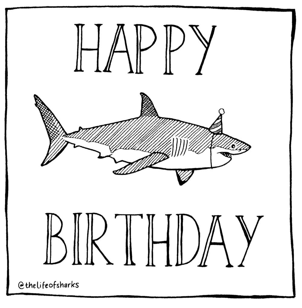 Sharks 'Happy Birthday' A6 Greetings Card with Envelope – The Life of Sharks