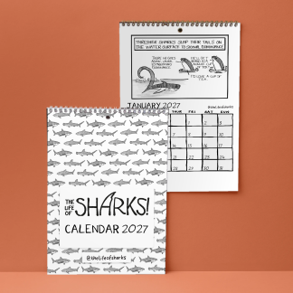 Sharks 2027 A3 Calendar